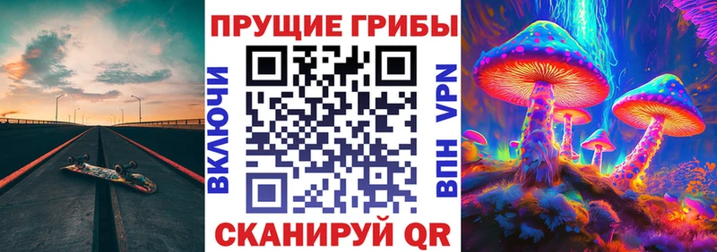 Галлюциногенные грибы GOLDEN TEACHER  Купить где  Ак-Довурак 