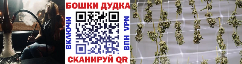 Бошки Шишки White Widow Ак-Довурак
